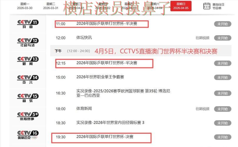 世界杯竞猜网站实测对比报告：直播入口与实际体验总结 - 世界杯直播